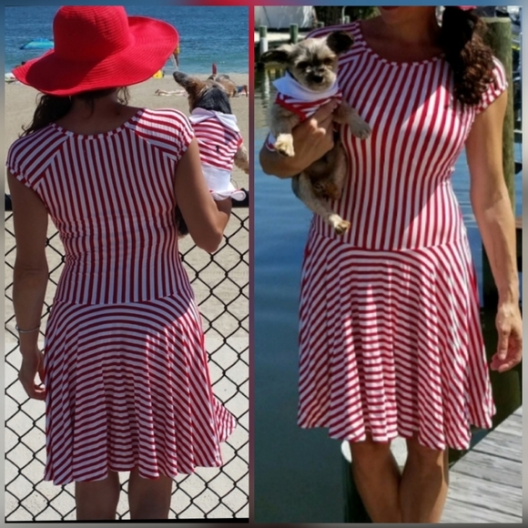Shabby Apple Dresses & Skirts - Shabby Apple beach stripe flare dress 2